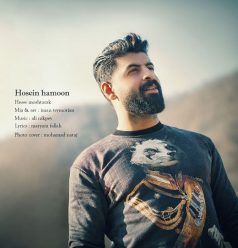 دانلود آهنگ حسین هامون حس مشترک